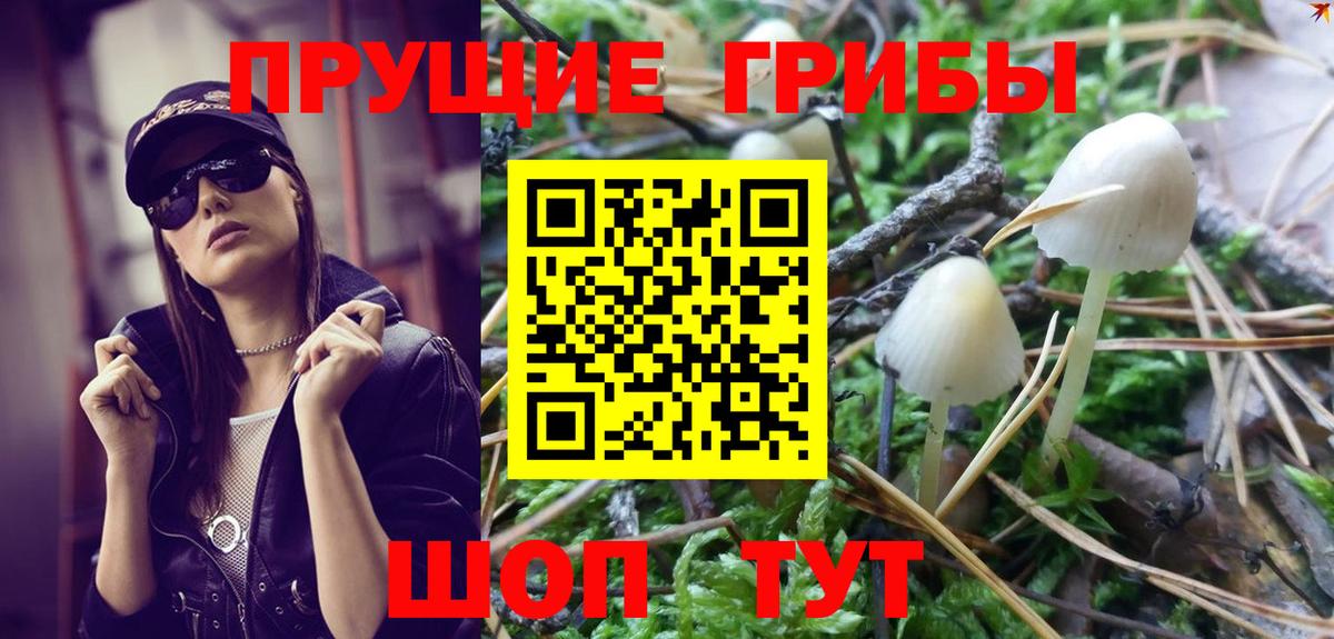 Псилоцибиновые грибы MAGIC MUSHROOMS Партизанск
