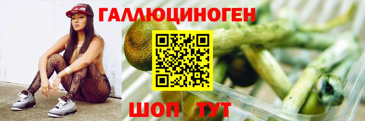 Партизанск  Псилоцибиновые грибы GOLDEN TEACHER  Вход с VPN 