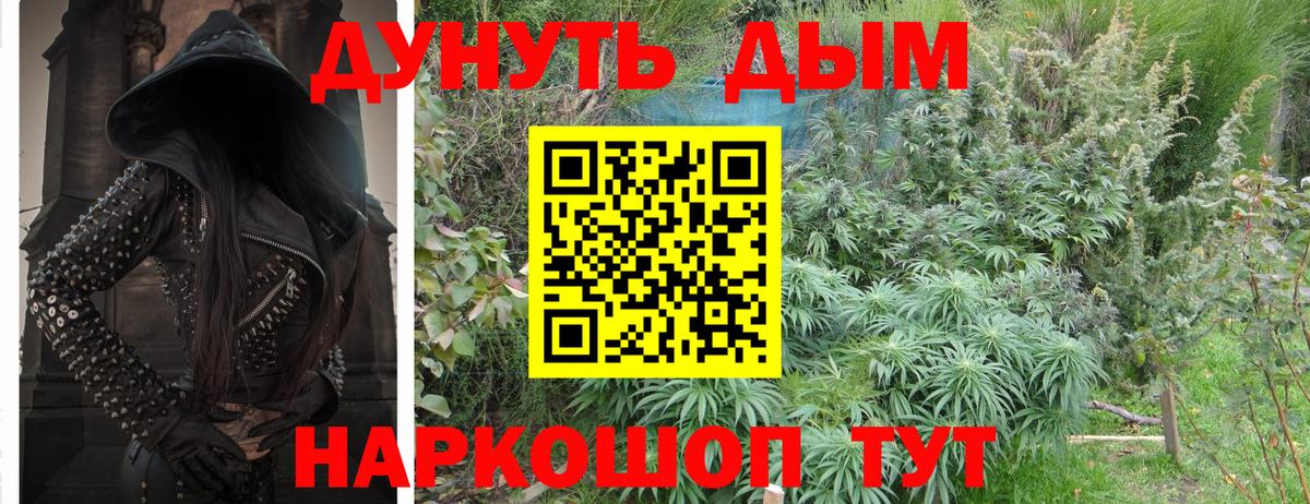 Бошки марихуана AK-47  Шишки марихуана тримм  Партизанск  Канабис White Widow  Вход с VPN  Каннабис Amnesia 